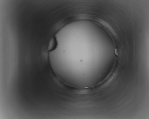 X0000100760841200807031148