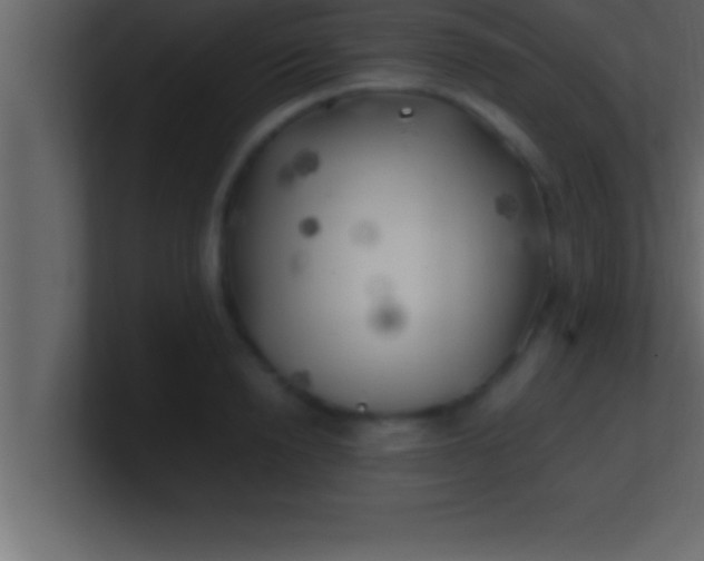 X0000100760846200807031148