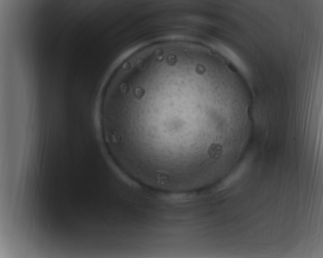 X0000100760847200807031148