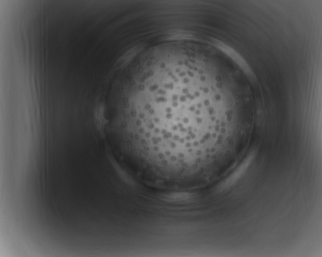 X0000100760849200807031148