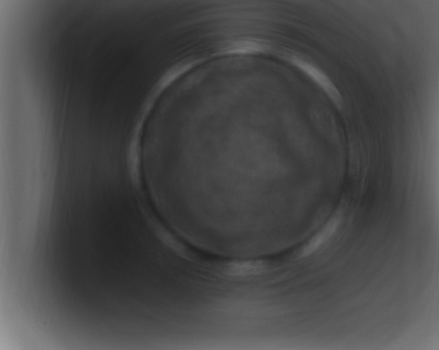 X0000100760850200807031148