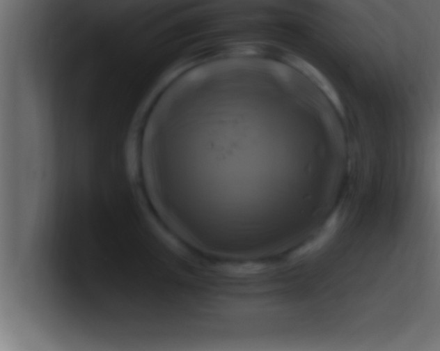 X0000100760851200807031148