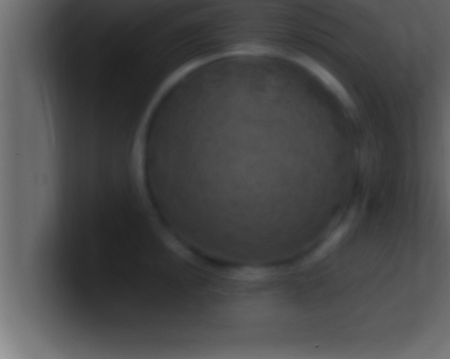 X0000100760854200807031148