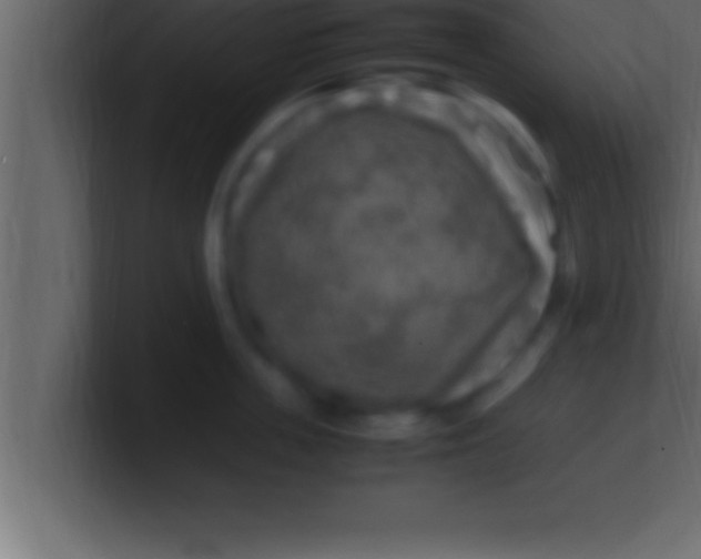 X0000100760859200807031148