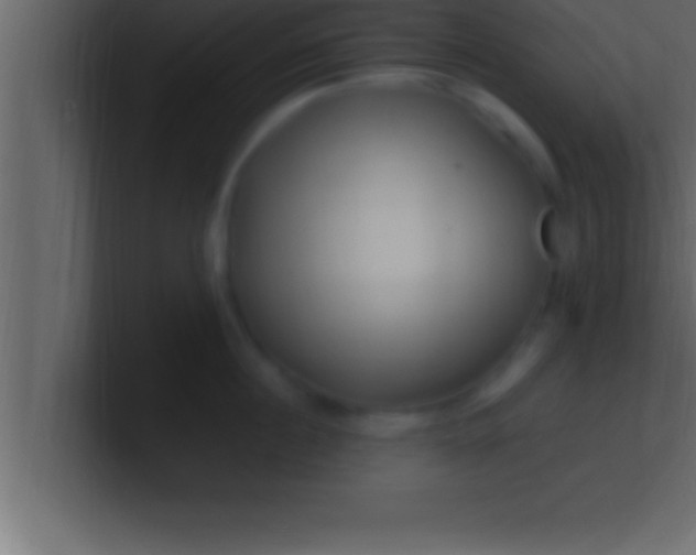 X0000100760860200807031148