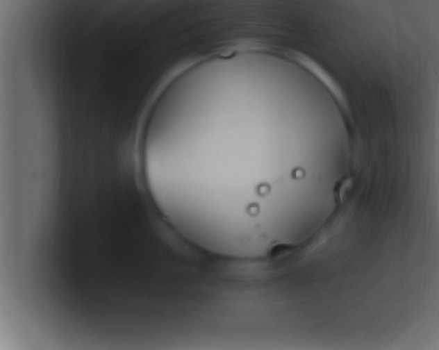 X0000100760861200807031148