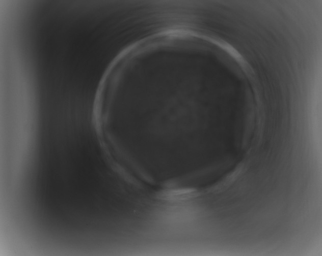 X0000100760864200807031148