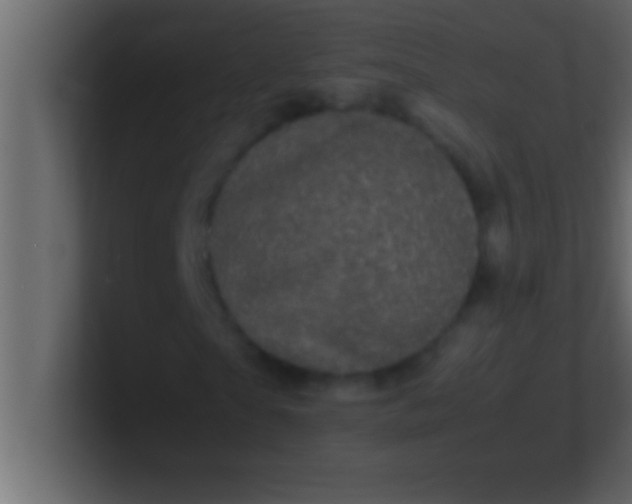 X0000100760865200807031148