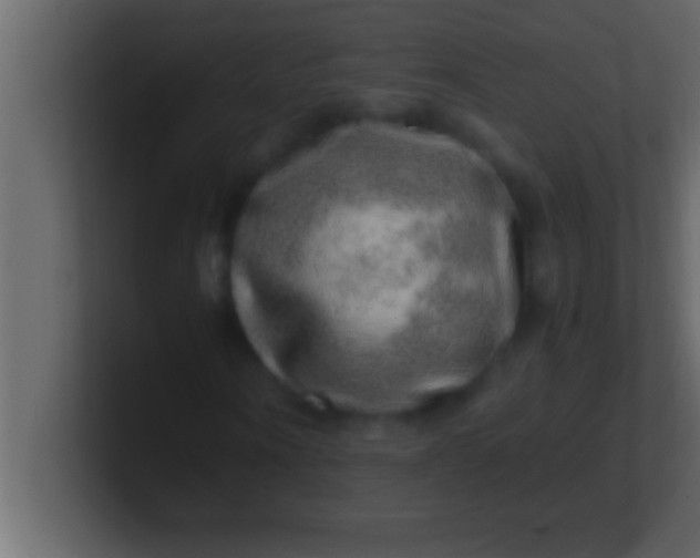 X0000100760866200807031148