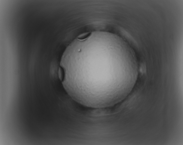 X0000100760867200807031148