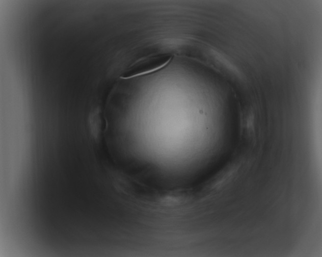 X0000100760868200807031148