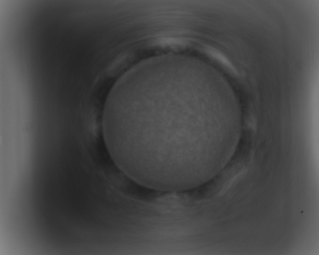 X0000100760869200807031148