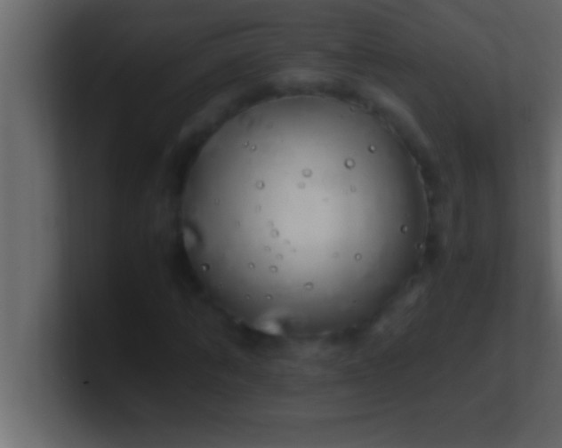 X0000100760870200807031148