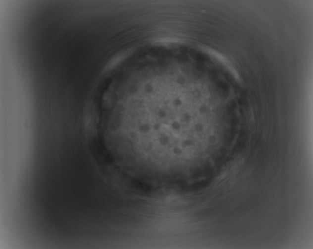 X0000100760871200807031148