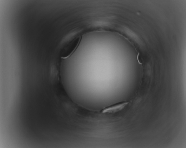 X0000100760872200807031148