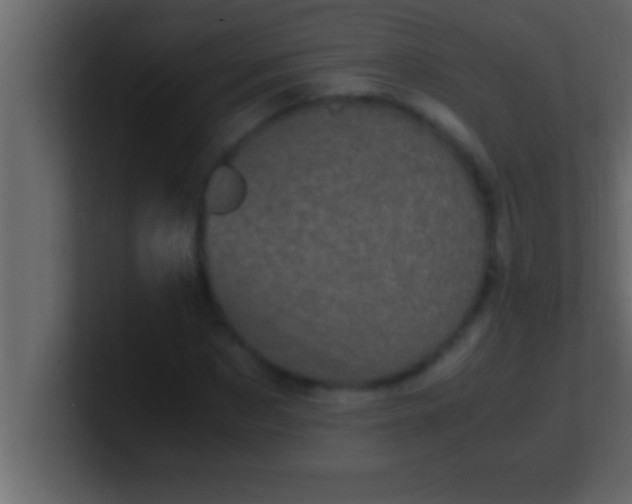 X0000100760873200807031148