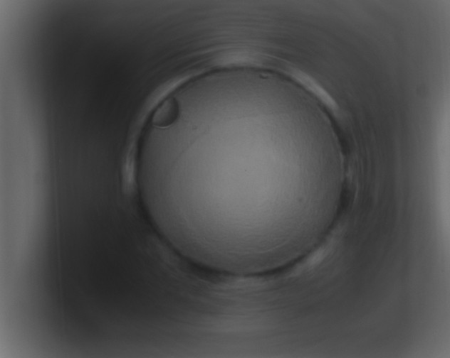 X0000100760877200807031147