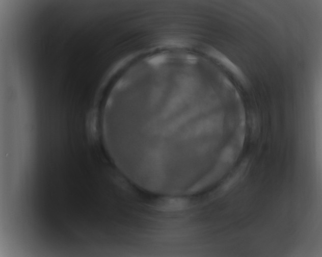 X0000100760878200807031147