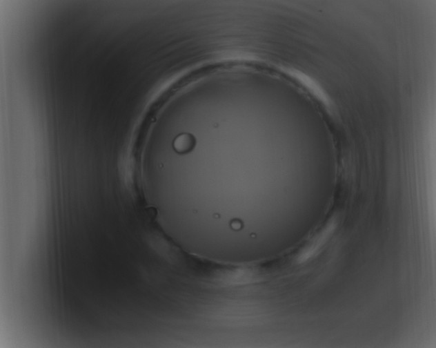 X0000100760879200807031147