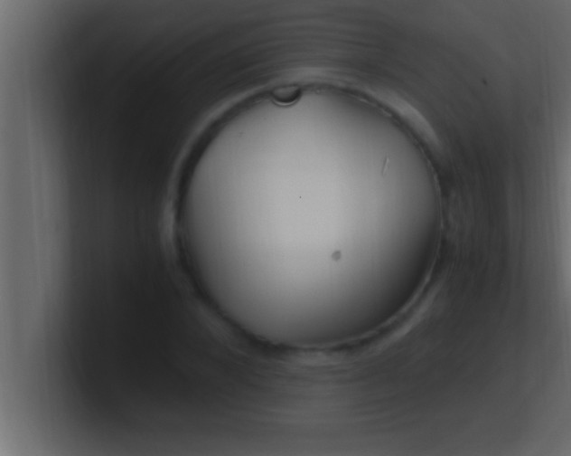 X0000100760880200807031147