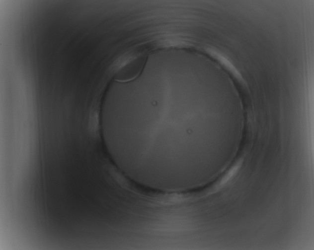 X0000100760881200807031147