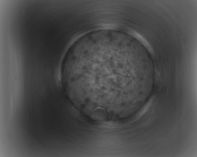 X0000100760883200807031147