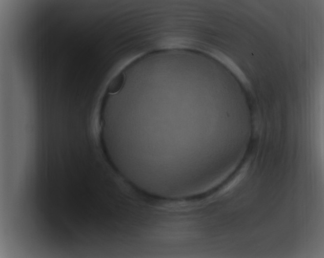 X0000100760885200807031147