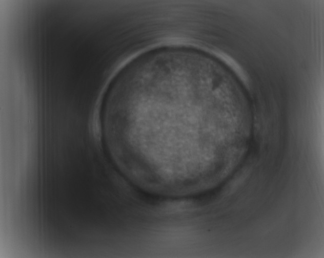 X0000100760887200807031147