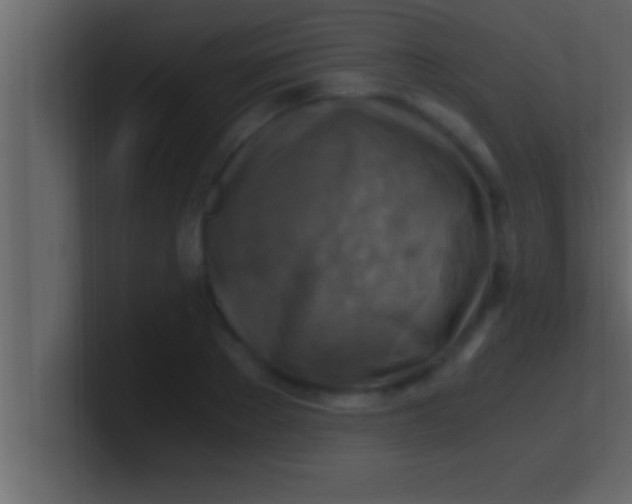 X0000100760889200807031147