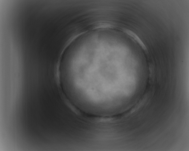 X0000100760890200807031147