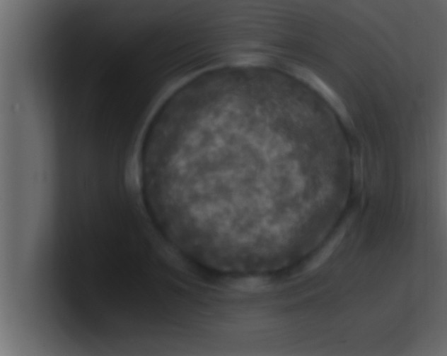 X0000100760891200807031147