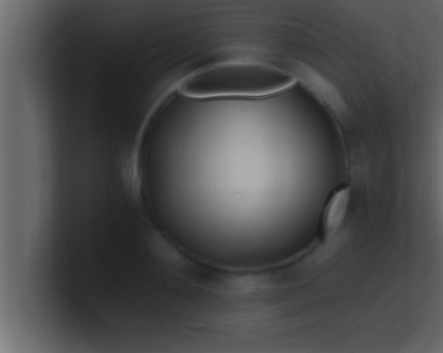 X0000100760892200807031147