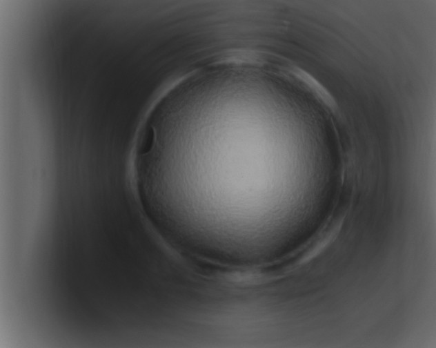 X0000100760893200807031147