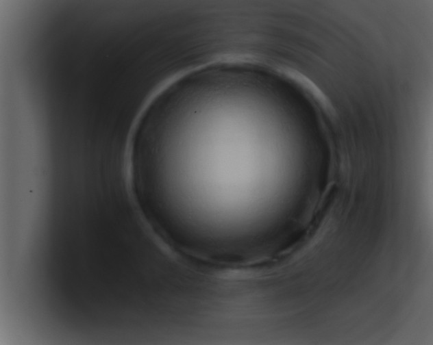 X0000100760894200807031147