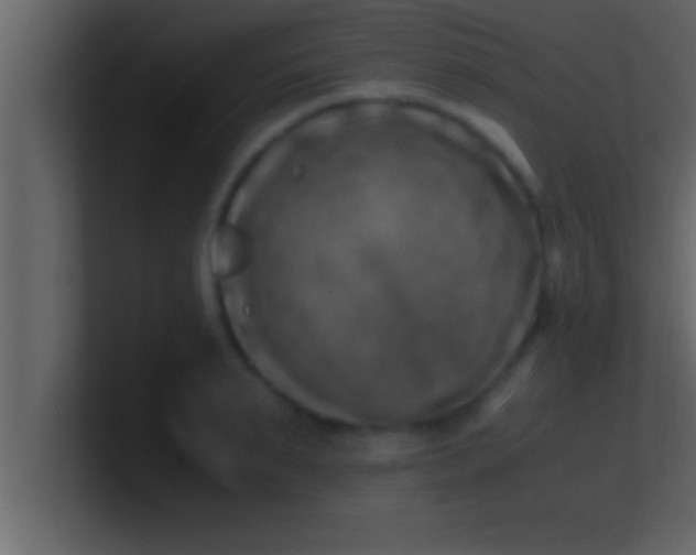 X0000100760895200807031147