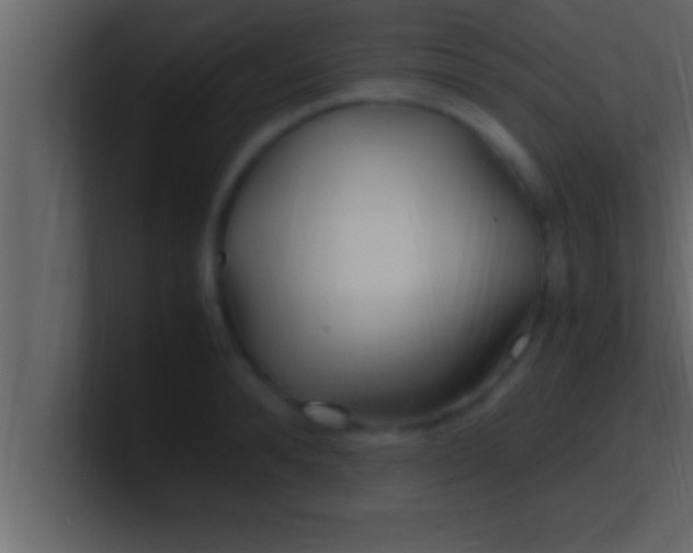 X0000100760896200807031147