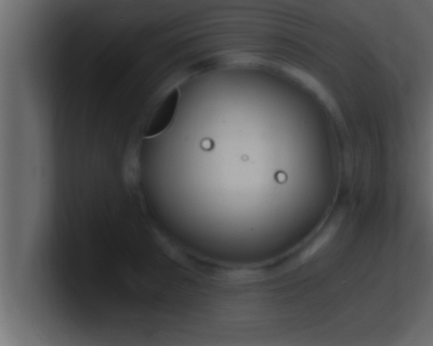 X0000100760897200807031147