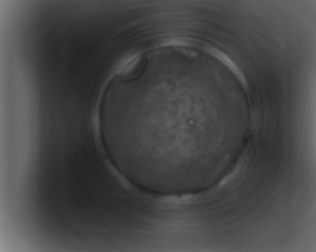 X0000100760898200807031147