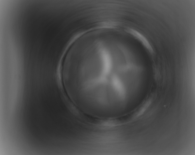 X0000100760899200807031147