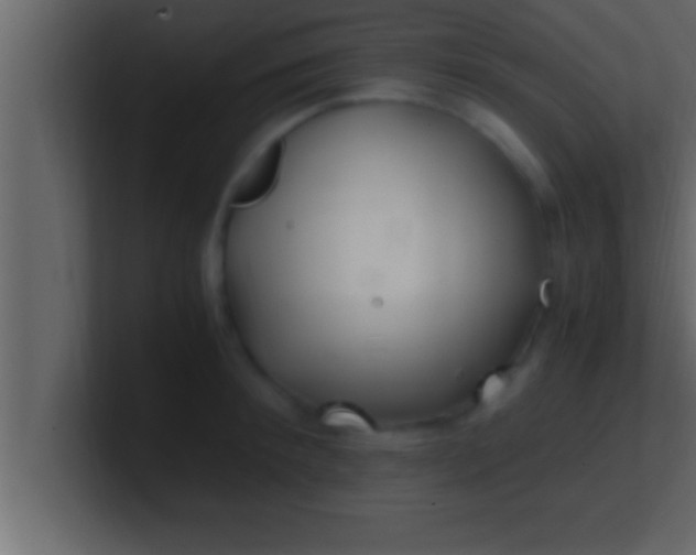 X0000100760900200807031147