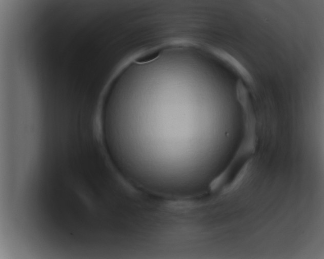 X0000100760902200807031147