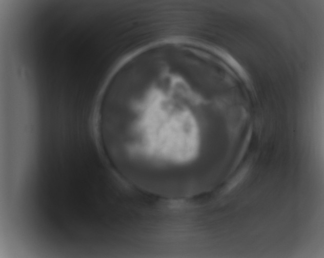 X0000100760903200807031147