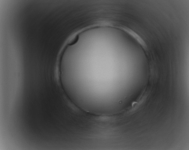 X0000100760904200807031147