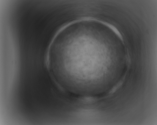 X0000100760911200807031147