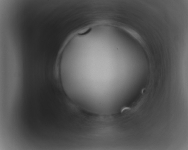 X0000100760912200807031147