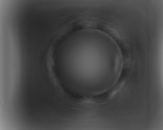 X0000100760913200807031146