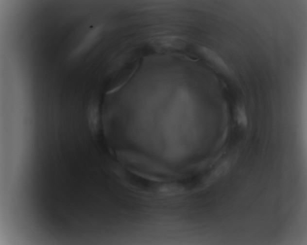 X0000100760915200807031146