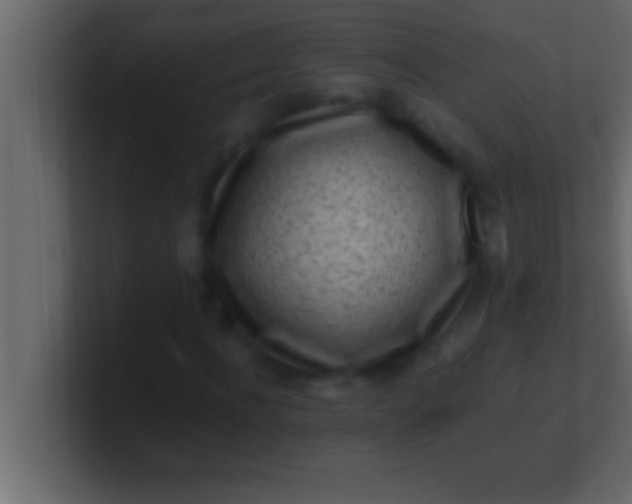 X0000100760916200807031146