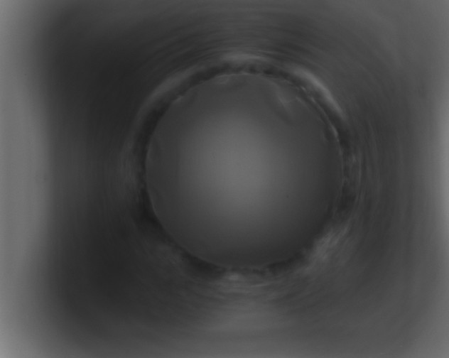 X0000100760919200807031146