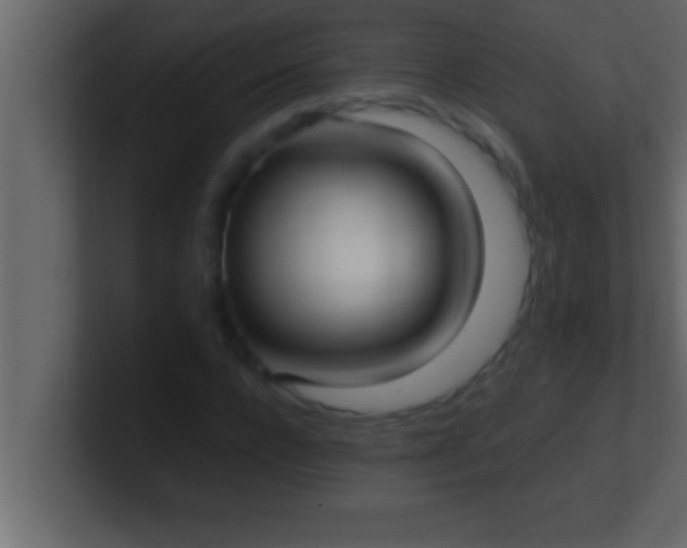 X0000100760920200807031146